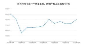 12月深圳市汽车销量情况如何? Model Y排名第一(2022年)