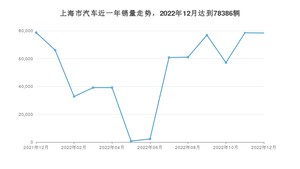 12月上海市汽车销量数据统计 Model Y排名第一(2022年)