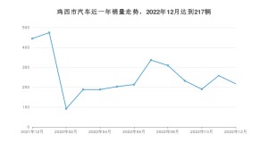 鸡西市12月汽车销量统计 RAV4荣放排名第一(2022年)