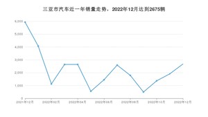 三亚市12月汽车销量数据发布 Model Y排名第一(2022年)