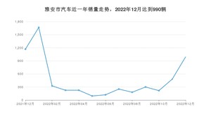 雅安市12月汽车销量 哈弗H6排名第一(2022年)