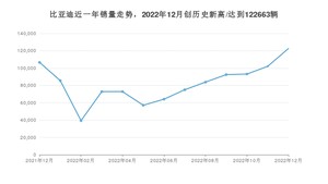 12月比亚迪销量怎么样? 众车网权威发布(2022年)