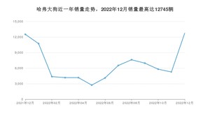 2022年12月哈弗大狗销量多少？ 在自主车中排名怎么样？