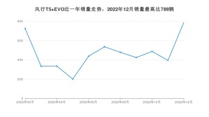 2022年12月东风风行风行T5 EVO销量多少？ 在哪个城市卖得最好？