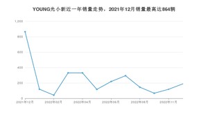 2022年12月电动屋YOUNG光小新销量如何？ 在微型车车型中排名怎么样？