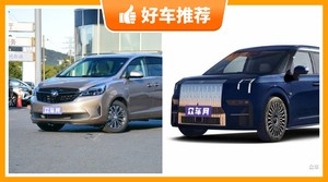 6座MPV48万左右哪款好？要大空间，还要动力强，购车指数为你指路