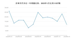 济南市1月汽车销量 枫叶60s排名第一(2023年)