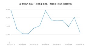 淄博市1月汽车销量统计 海豚排名第一(2023年)