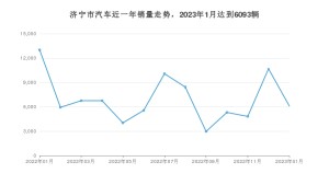 1月济宁市汽车销量数据统计 朗逸排名第一(2023年)