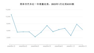 菏泽市1月汽车销量数据发布 朗逸排名第一(2023年)