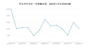 1月枣庄市汽车销量情况如何? 海豚排名第一(2023年)