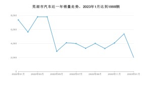 芜湖市1月汽车销量数据发布 瑞虎7排名第一(2023年)
