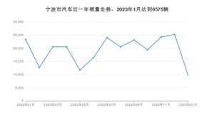 1月宁波市汽车销量数据统计 Model 3排名第一(2023年)