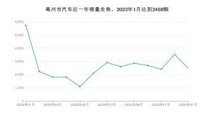 1月亳州市汽车销量数据统计 海豚排名第一(2023年)