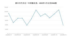 嘉兴市1月汽车销量统计 Model 3排名第一(2023年)