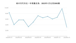 湖州市1月汽车销量数据发布 哪吒U排名第一(2023年)
