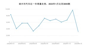 湖州市1月汽车销量数据发布 哪吒U排名第一(2023年)