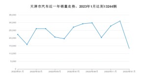 天津市1月汽车销量 海豚排名第一(2023年)