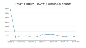 林肯 1月份销量数据发布 同比下降88.52%(2023年)