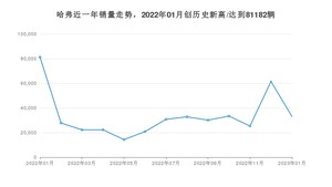 1月哈弗销量怎么样? 众车网权威发布(2023年)