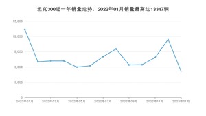 2023年1月坦克300销量多少？ 在哪个城市卖得最好？