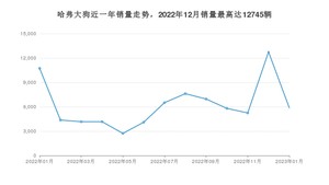 2023年1月哈弗大狗销量多少？ 在哪个城市卖得最好？