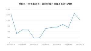 2023年1月大众探影销量数据发布 共卖了1223台