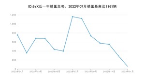 2023年1月大众ID.6 X销量多少？ 在哪个城市卖得最好？