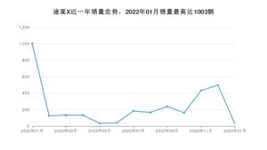 2023年1月大众途观X销量数据发布 共卖了28台