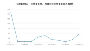 2023年1月北京BJ80销量数据发布 共卖了93台