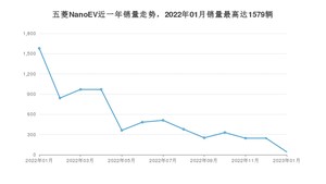 2023年1月五菱NanoEV销量多少？ 在哪个城市卖得最好？