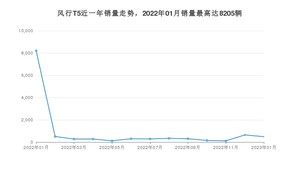 2023年1月东风风行风行T5销量多少？ 在哪个城市卖得最好？