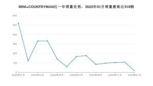 2023年1月MINI COUNTRYMAN销量多少？ 在哪个城市卖得最好？