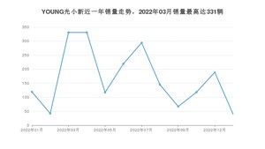 2023年1月电动屋YOUNG光小新销量数据发布 共卖了40台