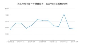 武汉市2月汽车销量 Model Y排名第一(2023年)