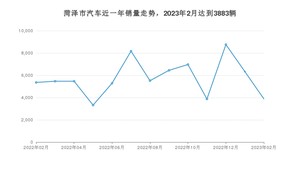 菏泽市2月汽车销量 宏光MINI EV排名第一(2023年)