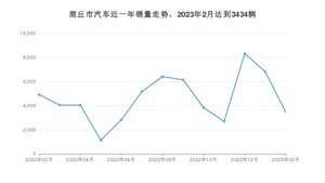 2月商丘市汽车销量情况如何? 宏光MINI EV排名第一(2023年)