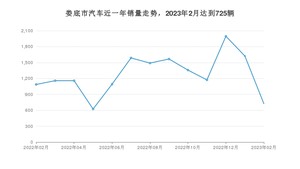 2月娄底市汽车销量数据统计 宏光MINI EV排名第一(2023年)