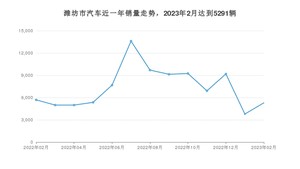 潍坊市2月汽车销量 宏光MINI EV排名第一(2023年)