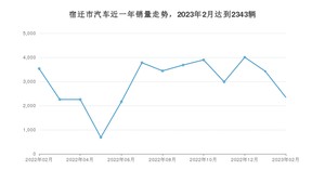 宿迁市2月汽车销量数据发布 宏光MINI EV排名第一(2023年)