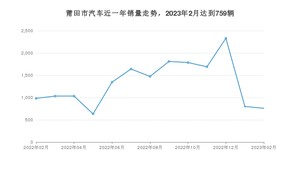 莆田市2月汽车销量 宏光MINI EV排名第一(2023年)