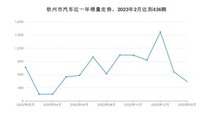 钦州市2月汽车销量数据发布 宏光MINI EV排名第一(2023年)