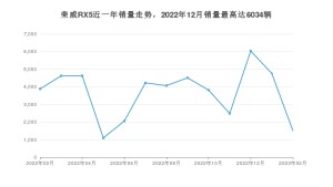 2023年2月荣威RX5销量多少？ 在哪个城市卖得最好？