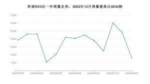 2023年2月荣威RX5销量多少？ 在哪个城市卖得最好？