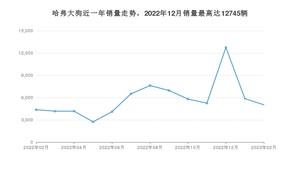 2023年2月哈弗大狗销量多少？ 在哪个城市卖得最好？