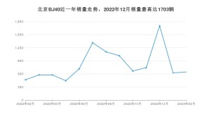 2023年2月北京BJ40销量多少？ 在哪个城市卖得最好？