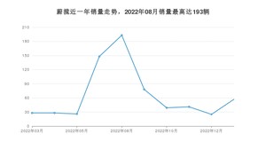 2023年2月大众蔚揽销量多少？ 在哪个城市卖得最好？