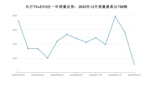 2023年2月东风风行风行T5 EVO销量多少？ 在哪个城市卖得最好？
