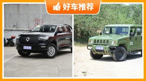 2座皮卡9万左右哪款好？炮动力、舒适性，能耗、操控、保值表现最强