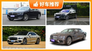 5座大型车290万左右哪款好？购车指数推荐，车主口碑助你选车！